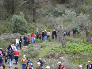 “Orkide Vadisi Gözlem Yürüyüşü”nün 14’üncüsü pazar günü yapılacak