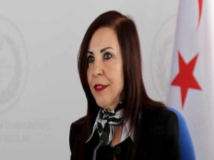 Emine Dizdarlı: Karma oyun kaldırılması Anayasa’ya aykırıdır