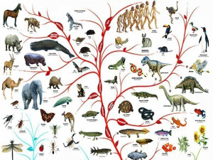 215 milyon yıllık sürüngen, timsah evrimi teorilerini sarsıyor