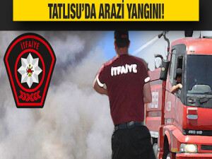 Tatlısu’da bir arazide çıkan yangın söndürüldü