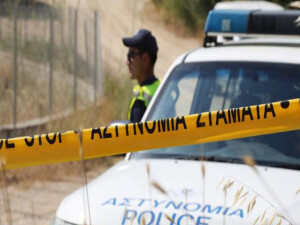 Güney Kıbrıs’ta barış bahçesindeki yabancı ülkelerden gelen zeytin ağaçları söküldü