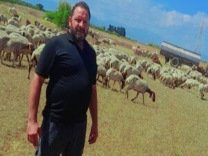 Hayvancılar Birliği Yönetim Kurulu Üyesi Tekyaprak: Sübanvisyon geri gelmeli