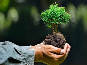 Ziraat Mühendisleri Odası'ndan “İklim Değişkenliği ve Tarıma Etkileri” semineri