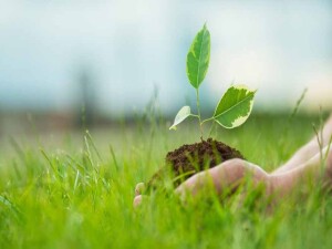 Dünya Sıfır Atık Günü kapsamında “Yeniden Yaşam Atölyeleri” düzenleniyor