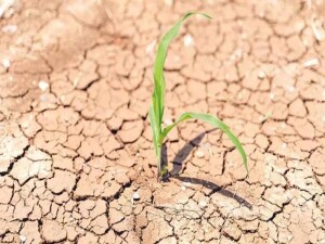 Orta Doğu su krizleriyle karşı karşıyayken çatışmalar durumu daha kötü hale getirebilir