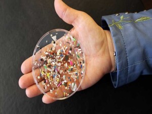 Mikroplastiklerin vücutta biriktiği yerleri saptayan test geliştirildi