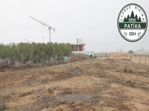 Patika Derneği’nden 21 dönümlük orman arazisinin kiralanması'na tepki: Ormanı yok edenleri durdurun