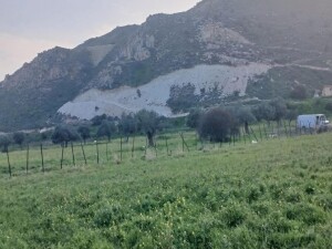 Lefke Çevre ve Ekoloji Derneği: CMC arazilerindeki çalışmalar kim tarafından yürütülüyor?