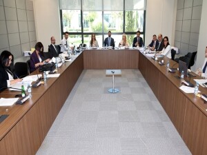 Komitede güvenlik kuvvetleri ve kamu görevlileri yasa tasarıları ileriye bırakıldı