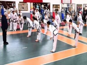 Rauf Raif Denktaş anısına Taekwondo Karate Budo Şampiyonası düzenlendi