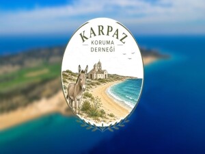 Karpaz Koruma Derneği Başkanı Çebi: Arpa ve buğday fiyatları bir an önce açıklanmalı