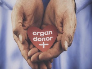 DAÜ’de “KKTC’de Organ Bağışı Paneli ve Bağış Etkinliği” düzenlenecek