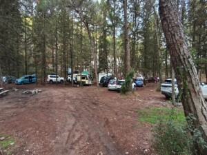 Patika’dan Orman Dairesi’ne “ücret” tepkisi: Hukuk mücadelesi ve fiilî direniş sürecek