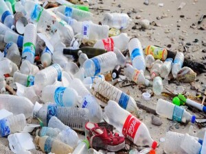Plastik su şişeleri pankreasa zarar verebilir, diyabet riskini artırabilir