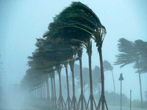 Baf’ta şiddetli rüzgar ağaçları ve elektrik direklerini devirdi: Toprak kayması ve su taşkınları yaşandı