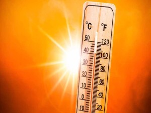 İngiltere’de aşırı sıcaklar nedeniyle üç gün üst üste kırmızı alarm