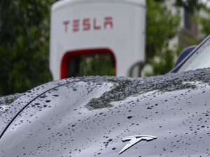 NatPower ve Tesla, Avrupa'da batarya enerji depolama sistemleri için anlaştı