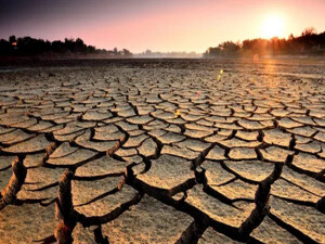 Kuraklık itiraz ödemeleri Tarım ve Doğal Kaynaklar Bakanlığı tarafından yapıldı