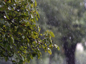 Son 24 saatte en fazla yağış metrekareye 16 kilogram ile Mallıdağ’a düştü