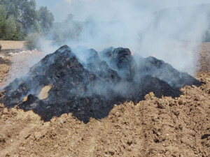 Yenierenköy’de çıkan yangın itfaiye tarafından söndürüldü