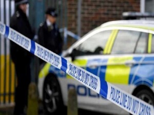 İngiltere'de kan donduran olay: Koyuna işkence edip havai fişekle patlattılar