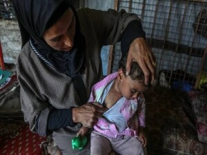 BM: Gazze'de yerinden edilmiş kişilerin yaşadığı yerlerin yüzde 83'ü kemirgen ve parazit istilası altında
