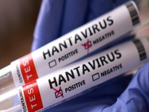 Hantavirüs vakası görülen gemideki üç Türk vatandaşı bugün Türkiye'ye getirilecek