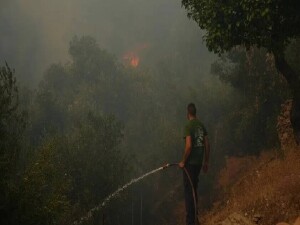 Yunanistan'ın başkenti Atina'nın batısındaki Haydari bölgesi yakınlarında orman yangını çıktı