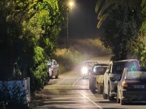 Cansız bedeni su kanalında bulunan Ayla Çetiner'in ölüm sebebi: Kafatası ve omurga kırıkları