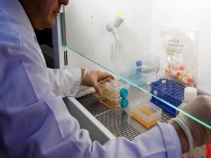 Mikroplastikler prostat kanserine yol açabilir