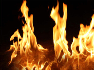 Paşaköy'de mandıra yandı