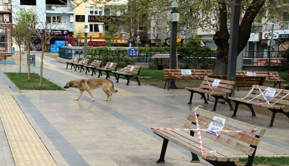 Ankara’da sokak hayvanları unutulmadı