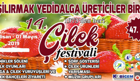 14. Çilek Festivali 26 Nisan'da başlıyor