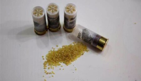 Patlayıcı Maddeler Müfettişliği'nden İnce Av mevsimi öncesi uyarı: Güney'den fişek geçirilmemeli