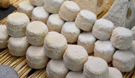 Güney'de “İncir ve Halicia Festivali"nde Kuzey'den ürün kullanıldığı iddiası tartışma yarattı