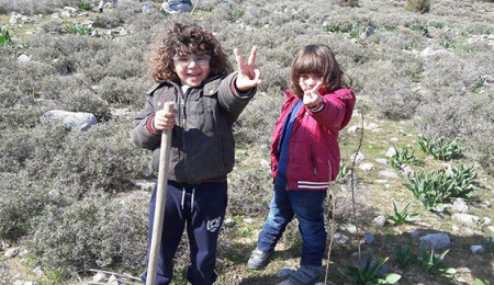 Baraka Kültür Merkezi, "daha yeşil bir ülke için" sloganıyla ağaç dikti