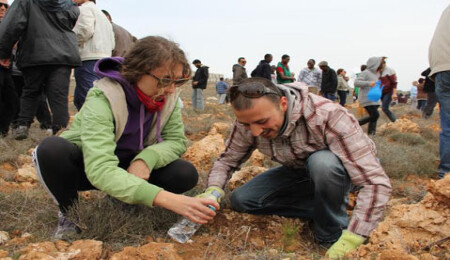 ODTÜ Kuzey Kıbrıs Kampusu'nda geleneksel ağaç dikme etkinliği yapıldı