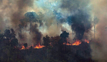 Brezilya'nın Amazon ormanları yanmaya devam ediyor