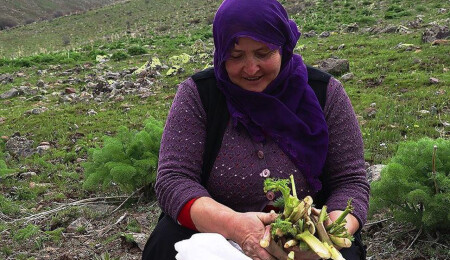 Dağlardan gelen lezzetler iftar ve sahur sofralarını süslüyor