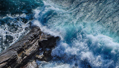 Okyanusun en derin noktalarında bilinmeyen yaşam formları keşfedildi