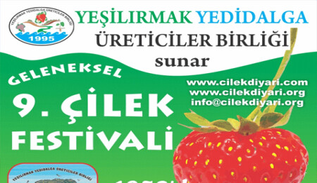 "9'uncu Geleneksel Çilek Festivali", 24-25 Mayıs'ta