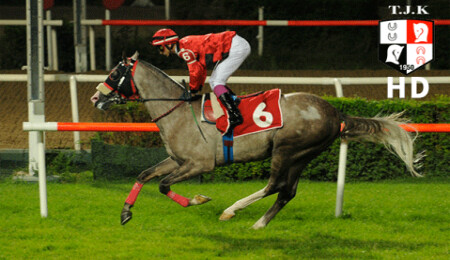 TJK TV canlı yayını HD kalitesi ile her an elinizin altında