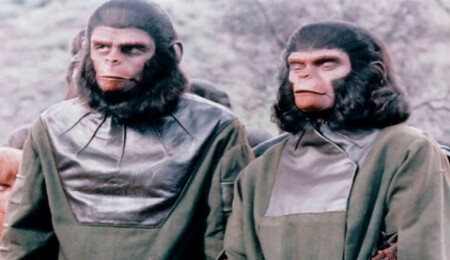 İnsanların soyu tükenirse, yeni baskın hayvan türü hangi canlı olabilir?