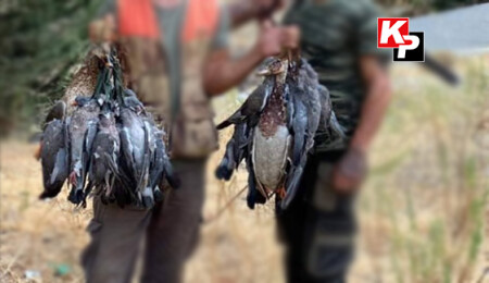 Avlanması yasak kuşu vurdular, görüntüleri sosyal medyada paylaştılar