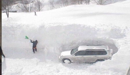 Avrupa kara teslim: Rusya'da ordu devreye girdi, Paris alarm halinde