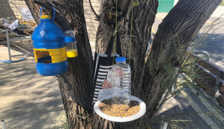 Bayraktar Ortaokulu'nda "Yarat-Üret-Kullan" proje yarışması düzenlendi