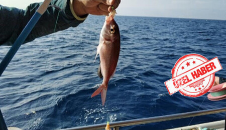 Balıkçılar yardım bekliyor… “Balıkçı malzeme olmadan nasıl balık avlayacak?”