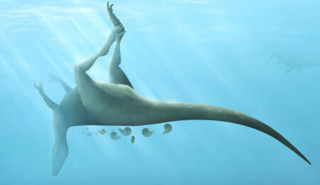 Dinozorlar devasa gövdelerini nasıl taşıyordu?