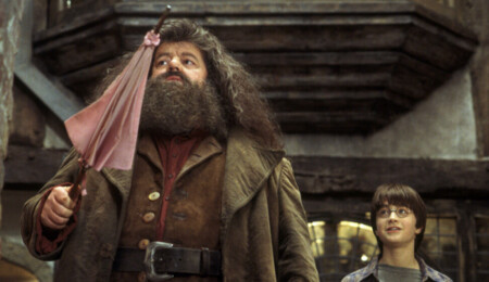 Yeni üç boyutlu Harry Potter kitabı, okurları Diagon Yolu'nun derinliklerine götürüyor