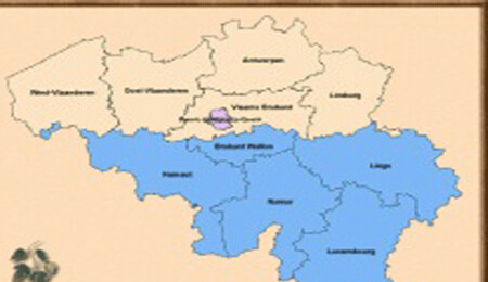 Belçika’da Flaman bölgesinin bağımsızlığını savunan partilerin oy oranı yüzde 50'yi aştı